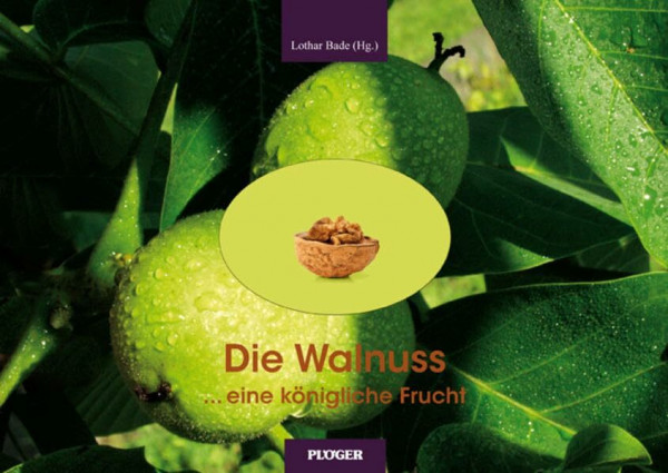 Die Walnuss... eine königliche Frucht