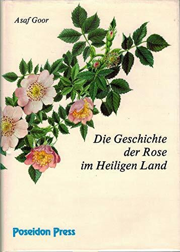 Die Geschichte der Rose im Heiligen Land