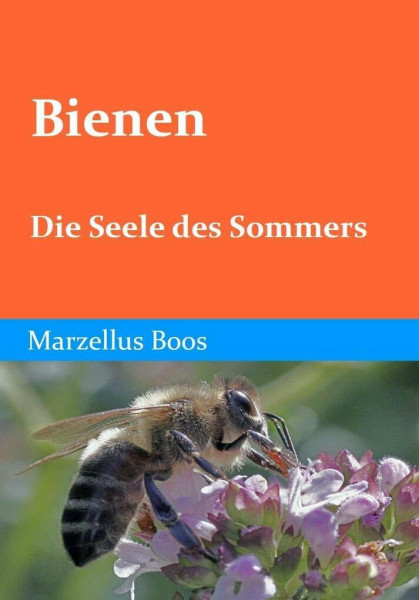 Bienen - Die Seele des Sommers: Über die Wunderwelt der Honigbienen