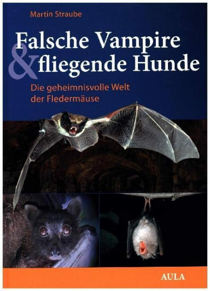 Falsche Vampire & fliegende Hunde: Die geheimnisvolle Welt der Fledermäuse