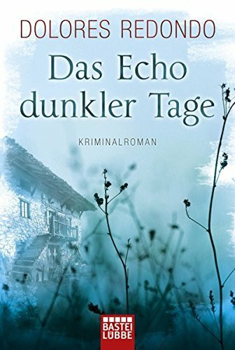 Das Echo dunkler Tage: Kriminalroman (Die Baztán-Trilogie, Band 1)