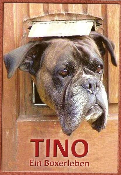 TINO Ein Boxerleben