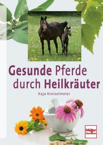 Pferde gesund und vital durch Heilkräuter