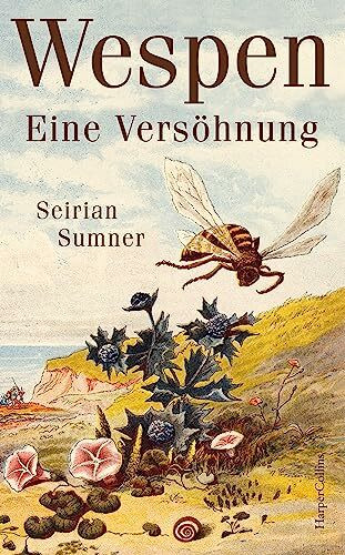 Wespen. Eine Versöhnung: Longlist »Bestes Wissenschaftsbuch des Jahres« 2024 | Platz 10 der WELT-Sachbuchbestenliste Oktober | Wer Bienen mag, wird Wespen lieben | Geheime Wunder der Evolution