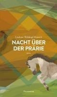 Nacht über der Prärie