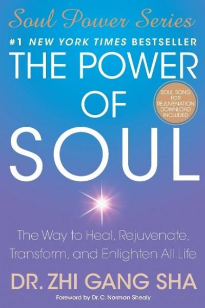 POWER OF SOUL