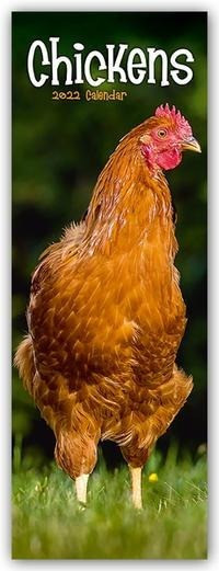 Chickens - Hühner 2022
