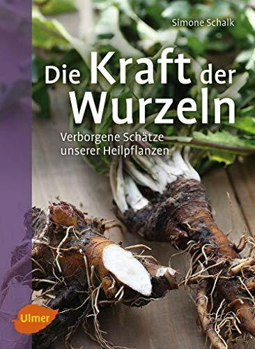 Die Kraft der Wurzeln: Verborgene Schätze unserer Heilpflanzen