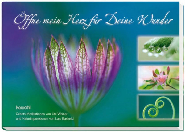 Öffne mein Herz für deine Wunder: Gebets-Meditationen