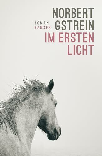 Im ersten Licht: Roman