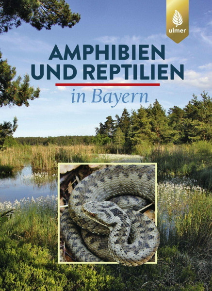 Amphibien und Reptilien in Bayern (Grundlagenwerke Bayern)