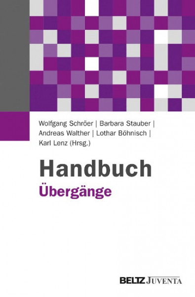 Handbuch Übergänge