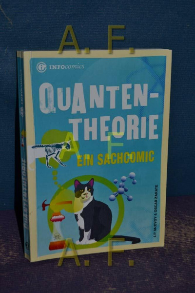 Quantentheorie: Ein Sachcomic (Infocomics)