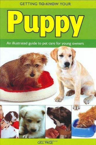 Getting to Know Your Puppy