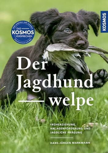 Der Jagdhundwelpe