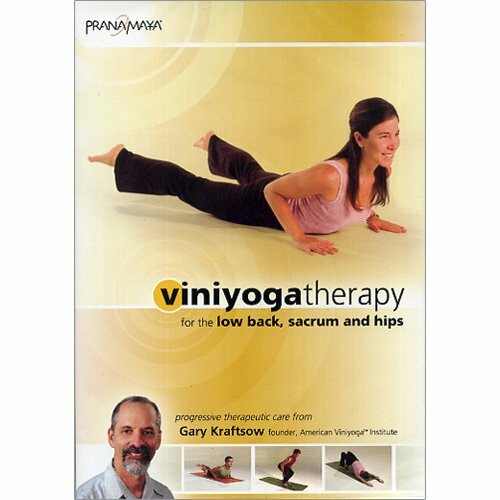 Viniyoga Therapy for the Low Back, Sacrum and Hips DVD [NTSC] [UK Import]