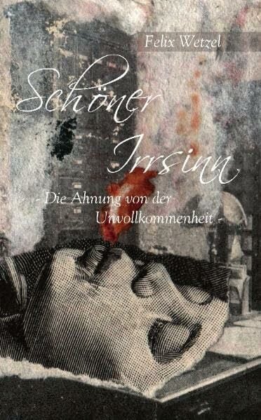 Schöner Irrsinn - Die Ahnung von der Unvollkommenheit: Kurzgeschichten & Alltagsbetrachtungen Schöner Irrsinn - Die Ahnung von der Unvollkommenheit: Kurzgeschichten & Alltagsbetrachtungen