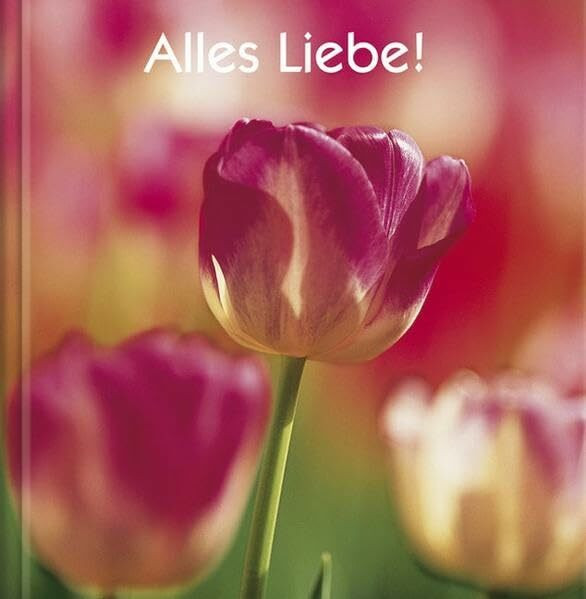 Alles Liebe!: Geschenkbuch