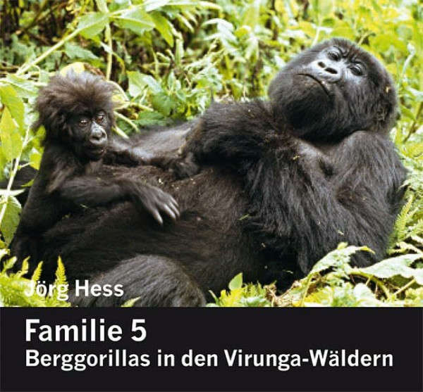 Familie 5, Berggorillas in den Virunga-Wäldern