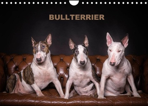 Bullterrier (Wandkalender 2022 DIN A4 quer)