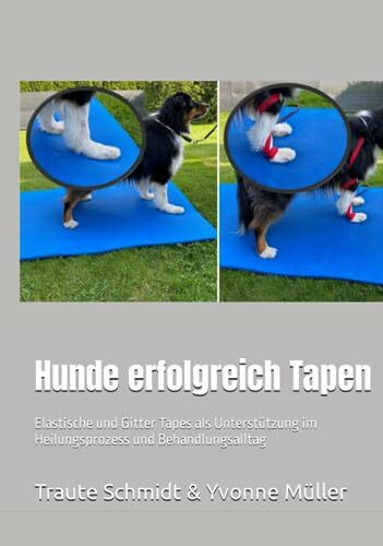 Hunde erfolgreich Tapen: Elastische und Gitter Tapes als Unterstützung im Heilungsprozess und Behandlungsalltag