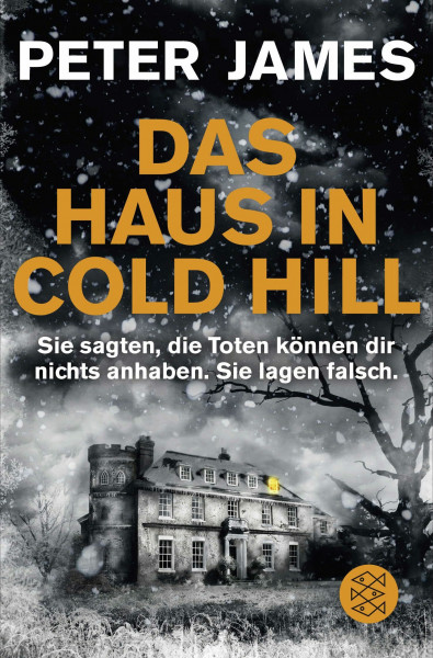 Das Haus in Cold Hill: Roman