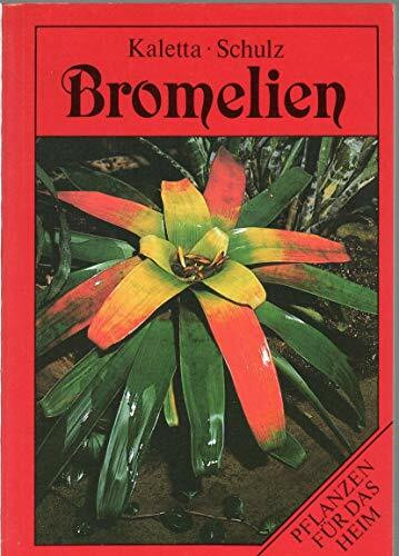 Bromelien. Pflanzen für das Heim