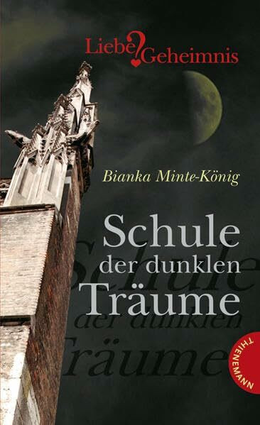 Schule der dunklen Träume (Liebe & Geheimnis)