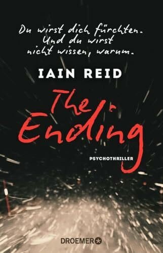The Ending - Du wirst dich fürchten. Und du wirst nicht wissen, warum: Psychothriller
