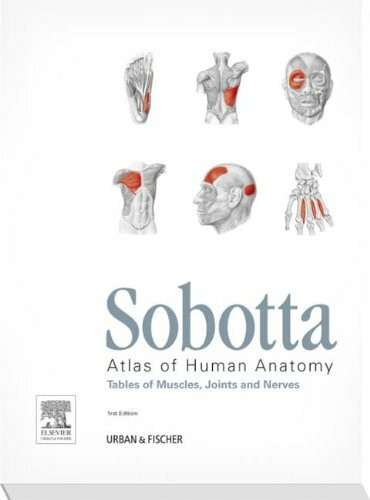 Sobotta Tabellen Holland: Tables to 15th ed. of the Sobotta Atlas (KURZLEHRBUCH - Urban & Fischer Verlag)