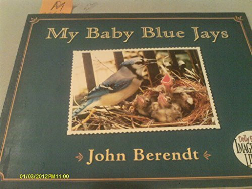 My Baby Blue Jays (Dolly Parton's Imagination Library)