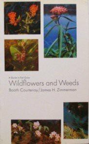 Wild Flowers and Weeds