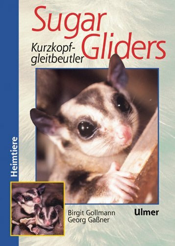 Sugar Gliders: Kurzkopfgleitbeutler (Heimtiere)