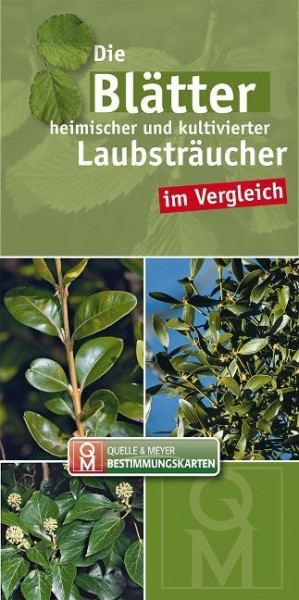 Die Blätter heimischer und kultivierter Laubsträucher im Vergleich