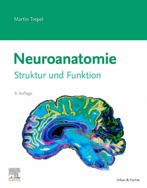 Neuroanatomie: Struktur und Funktion (VORKLINIK - Lehrbuch - Urban & Fischer-Verlag)