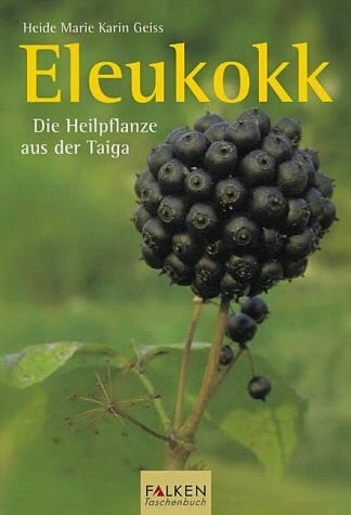 Eleukokk: Die Heilpflanze aus der Taiga