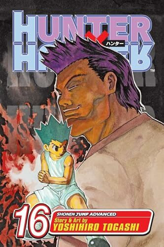 Hunter x Hunter, Vol. 16 (Volume 16): Face-Off