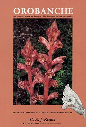 Orobanche Die Sommerwurzarten Europas: Orobanche The European broomrape species