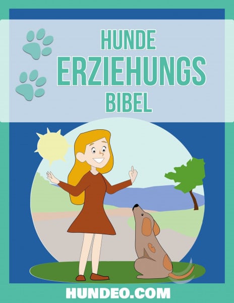 Hunde Erziehungs Bibel: Das Buch zur Hundeerziehung