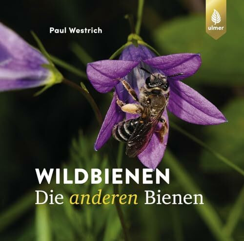 Wildbienen, die anderen Bienen