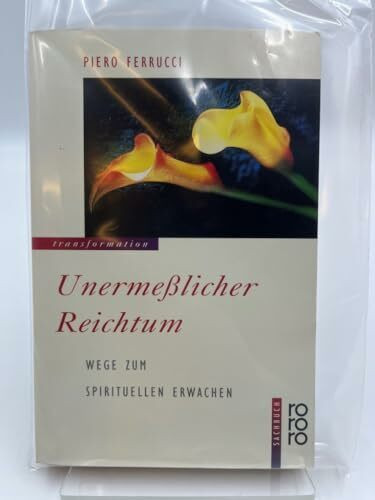 Unermeßlicher Reichtum. Wege zum spirituellen Erwachen.: Wege zum spirituellen Erwachen. (rororo transformation) (rororo sachbuch)