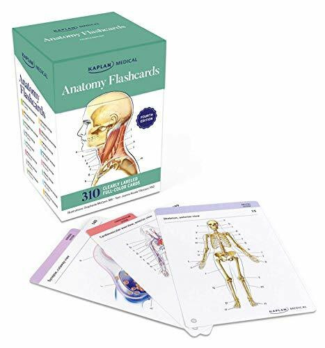 Anatomy Flashcards: 300 Flashcards with Anatomically Precise Drawings and Exhaustive Descriptions + 10 Customizable Bonus Cards and Sorting Ring for Custom Study: 310 Clearly Labeled Full-color Cards