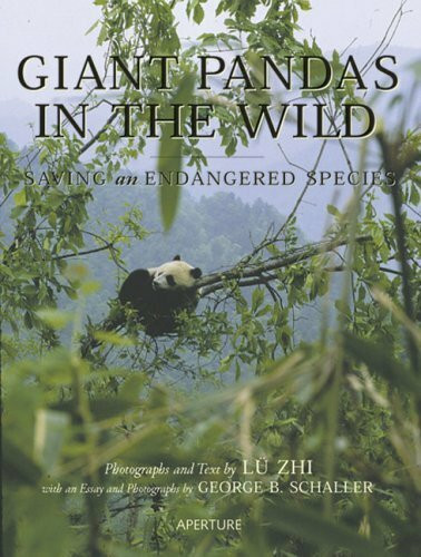 Aperture Giant Pandas In The Wild, Saving An Endangered Species