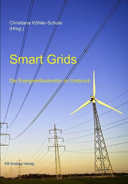 Smart Grids: Die Energieinfrastruktur im Umbruch