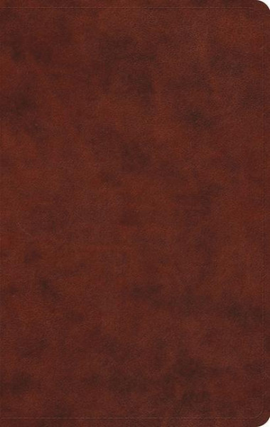 Large Print Value Thinline Bible-ESV