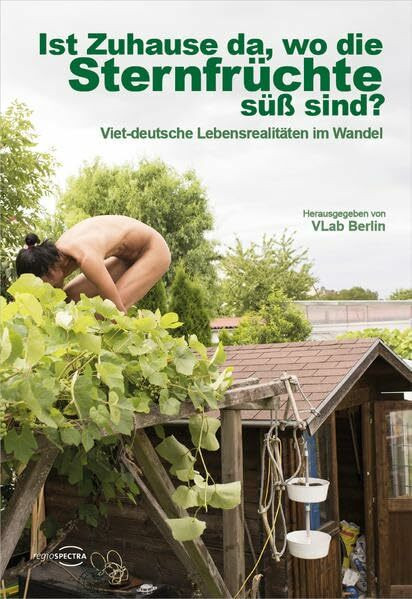 Ist Zuhause da, wo die Sternfrüchte süß sind?: Viet-deutsche Lebensrealitäten im Wandel