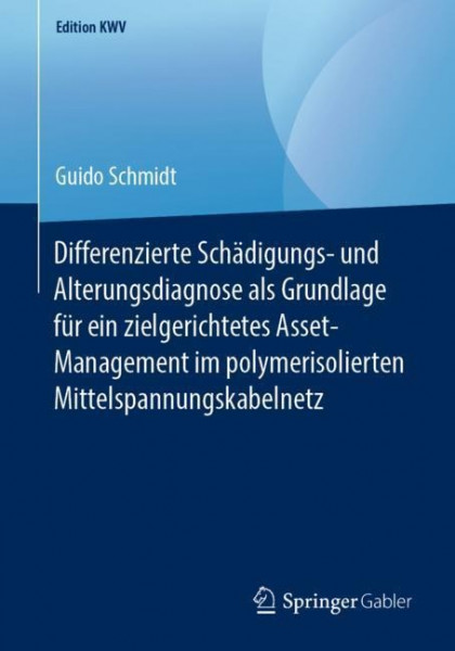 Differenzierte Schädigungs- und Alterungsdiagnose als Grundlage für ein zielgerichtetes Asset-Management im polymerisolierten Mittelspannungskabelnetz