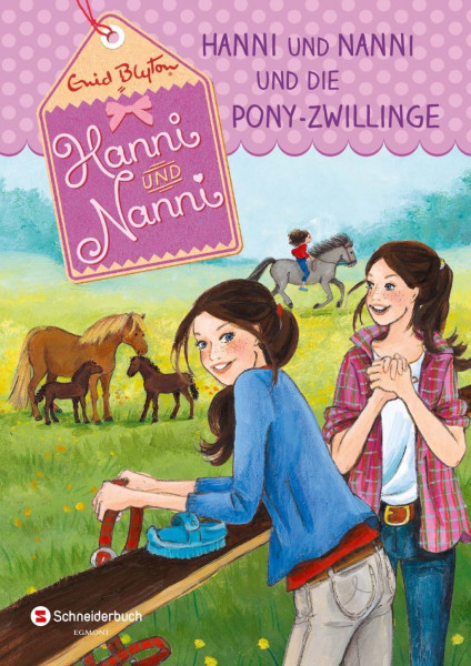 Hanni und Nanni 38: Hanni und Nanni und die Pony-Zwillinge