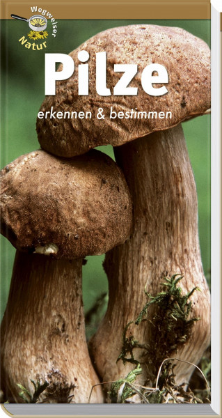 Pilze erkennen und bestimmen: Wegweiser Natur