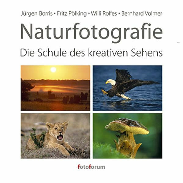 Naturfotografie: Die Schule des kreativen Sehens